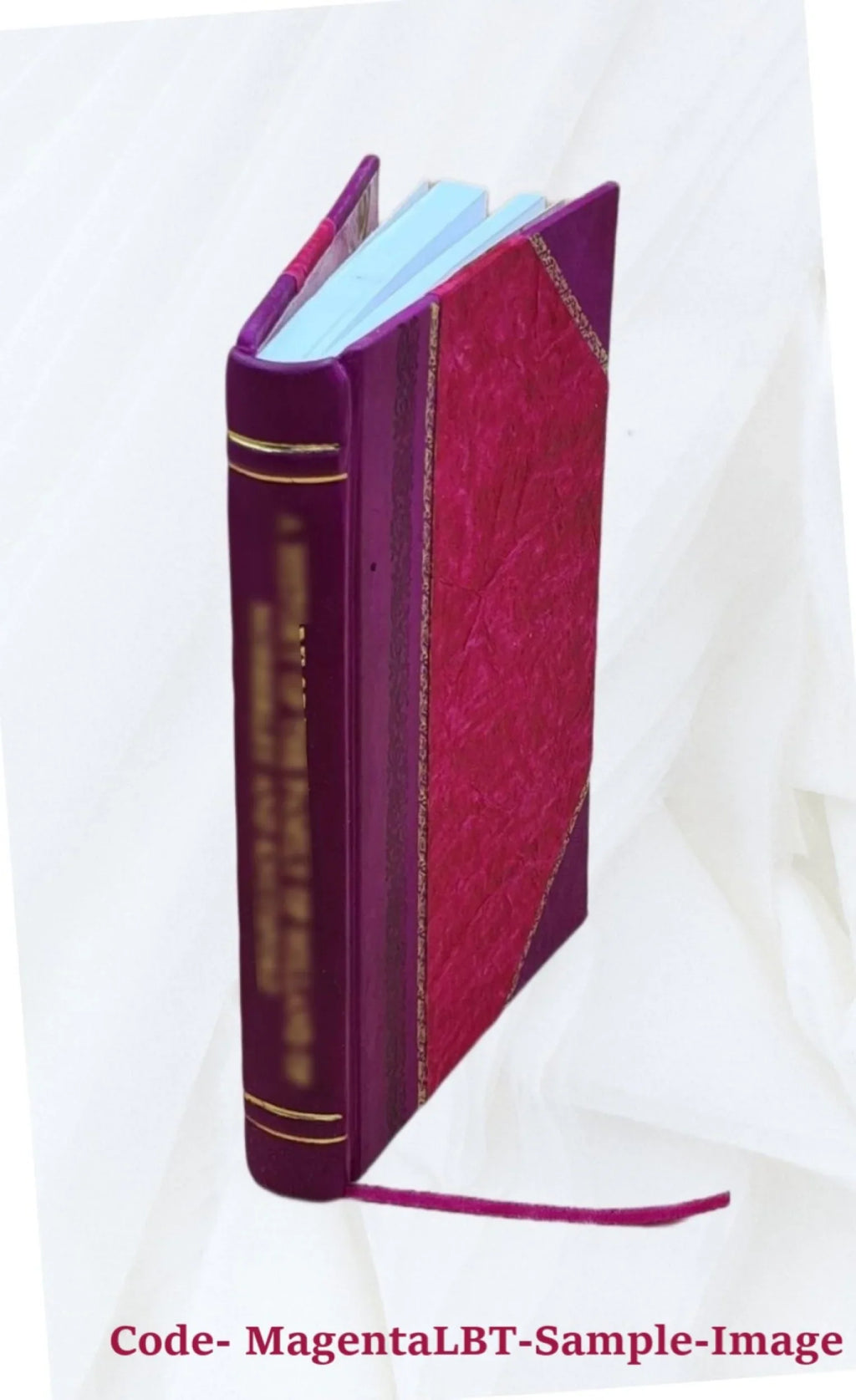 Combat de Sidi-Brahim : 23, 24, 25 et 26 septembre 1845 / par le capitaine A. Pernot,... ; illustrations de V. Baumann,... 1905 [Leather Bound]