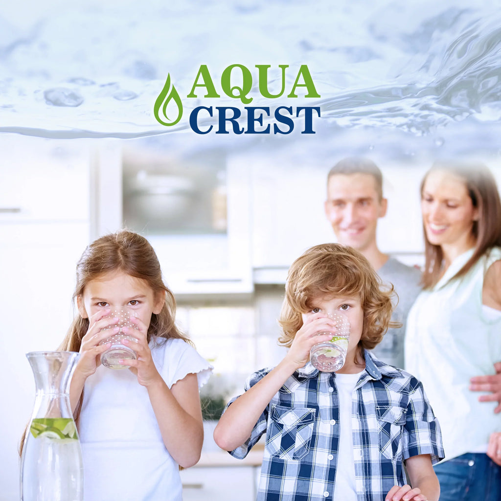 3 Pack AQUACREST RC-EZ-3 Replacement for Culligan RC-EZ-3, US-EZ-3, RV-EZ-3 Under-sink Water Filter, 500 Gallons