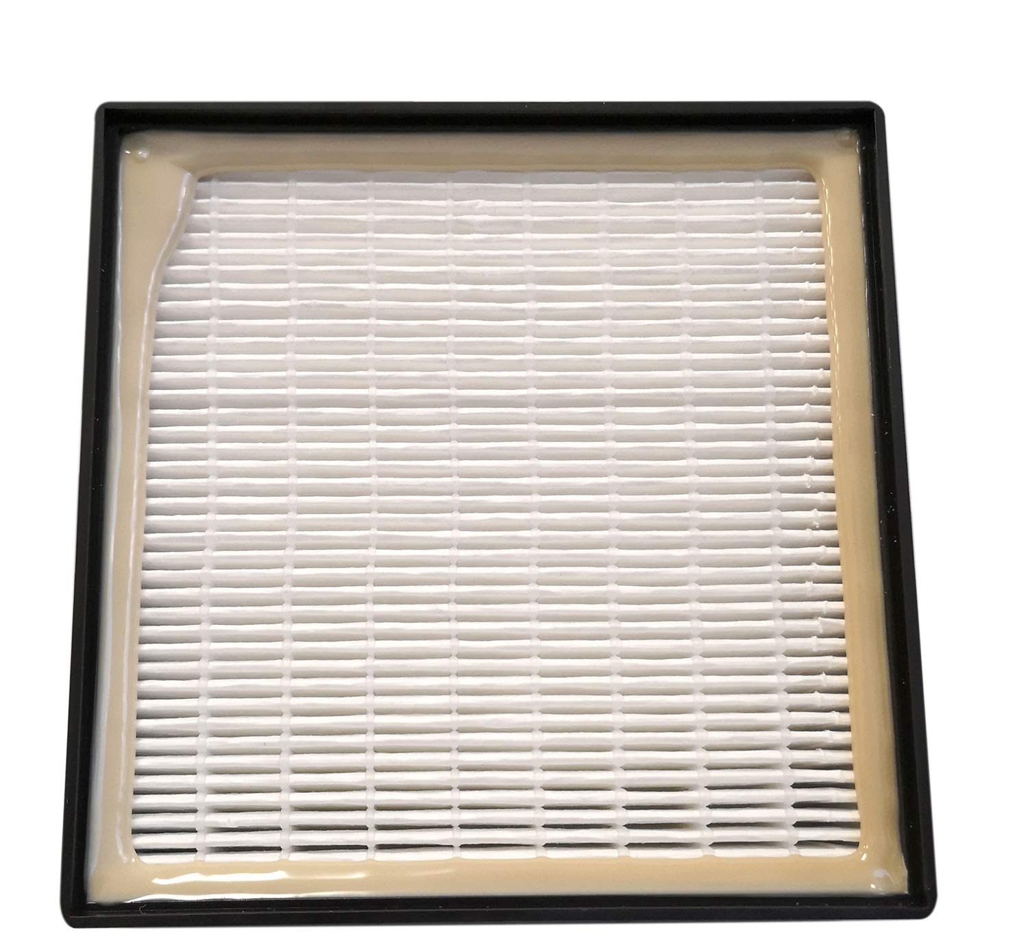 Premium Replacement HEPA Filter For Advance Adgility 6/10XP, Nilfisk GD 5/10, Euroclean Back Vac 6/10 & Clarke Comfort Pak 6/10. # 1471104500