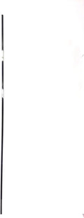 Lower Backing Sheet Layering 001653-CA2 Works W Vision Fitness Treadmill