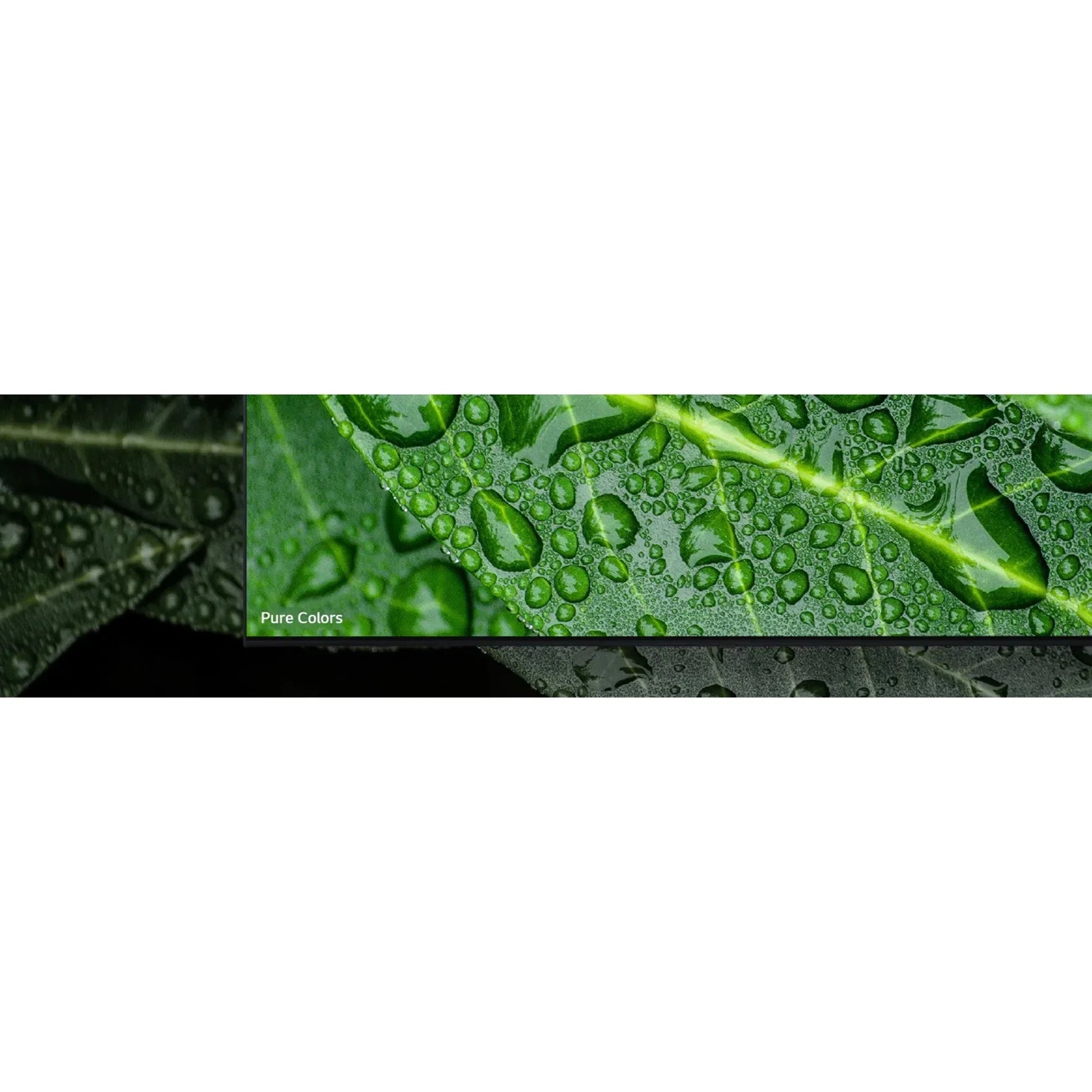 LG 50UR577H9UA - 50" Diagonal Class UR577H9 Series LED-backlit LCD TV - hotel / hospitality - Pro:Centric with Integrated Pro:Idiom - Smart TV - webOS - 4K UHD (2160p) 3840 x 2160 - HDR - Nano Cell Display, Edge LED