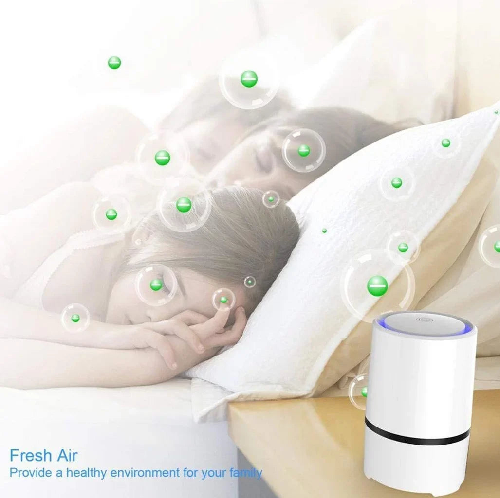 Purifier For Home True HEPA Filter And Activated Carbon Filter Household Odours