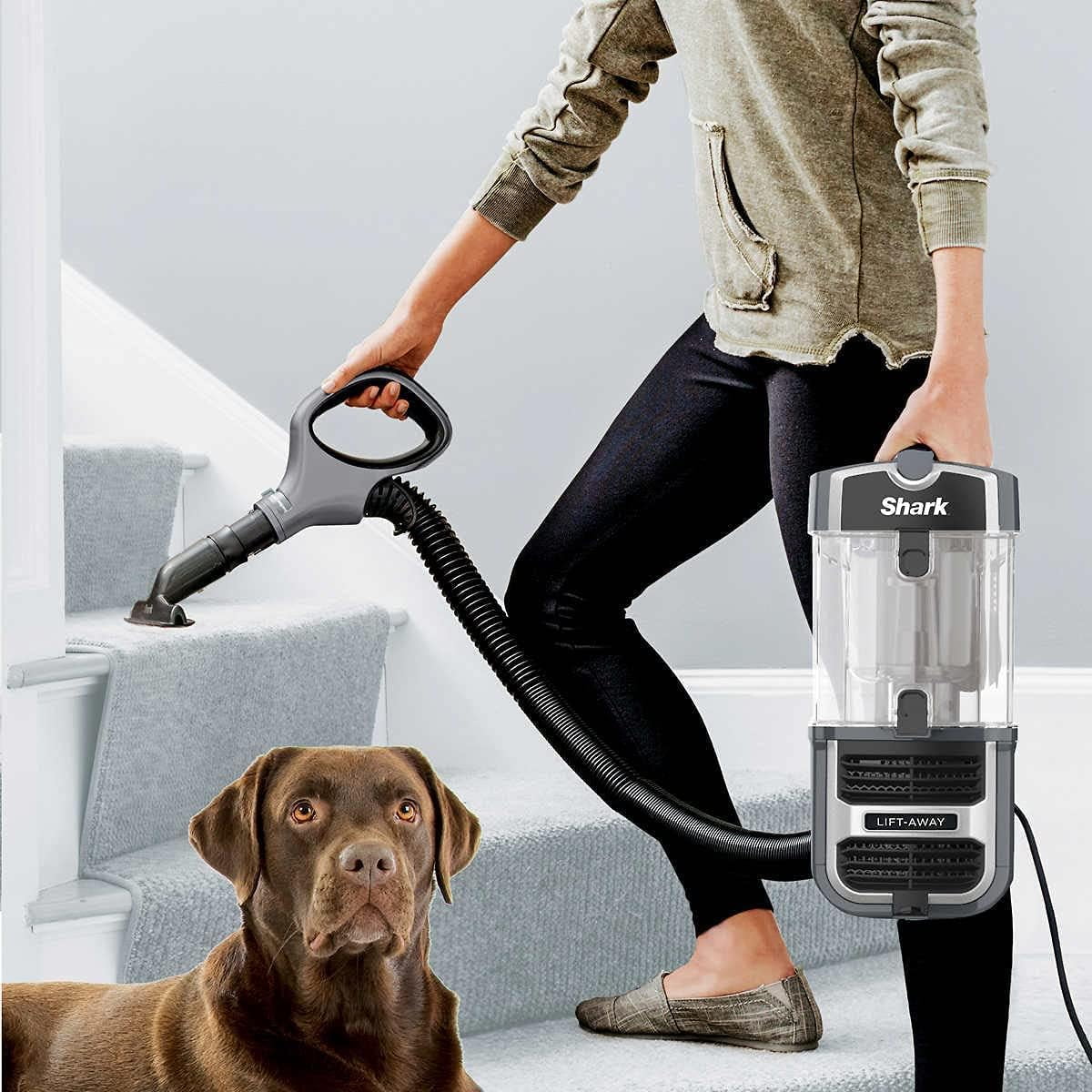 Open Box Shark Navigator Vacuum Lift-Away Self Cleaning Brushroll HEPA Filter UV725 Gray