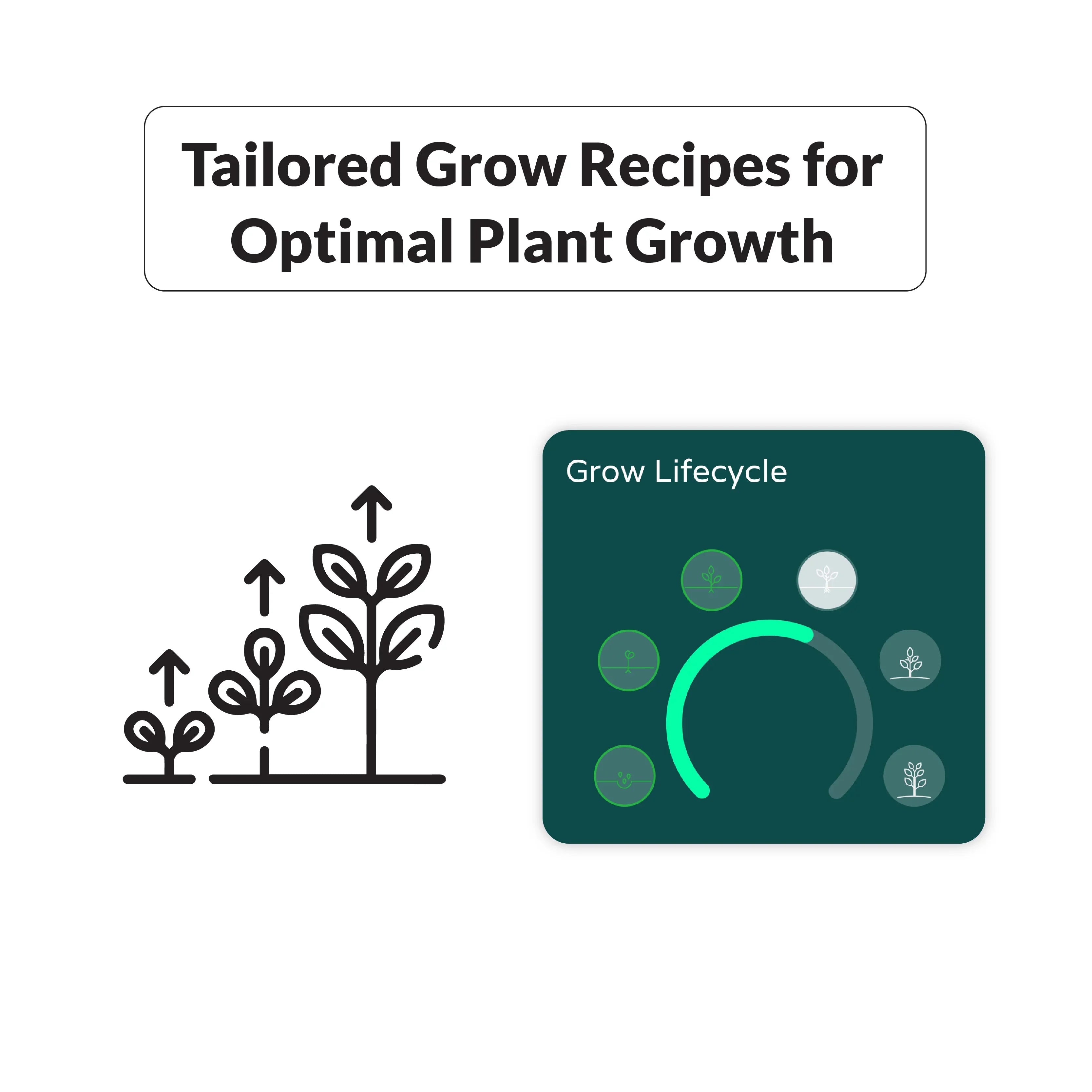 Niwa CO2 Sensor, Suitable with All Grow Hub Models & NOT an Independent Sensor. CO2 Sensor Comes with All preexisting Niwa Readings (VPD, Temperature, Humidity, Dew Point & Light Level).…