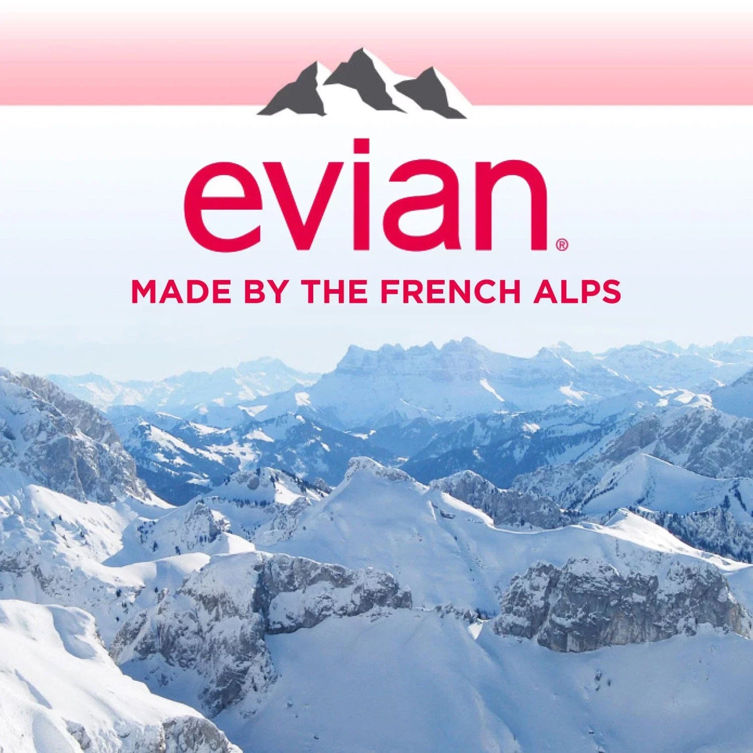 Evian Natural Spring Water 1 L, 12 pk. A1
