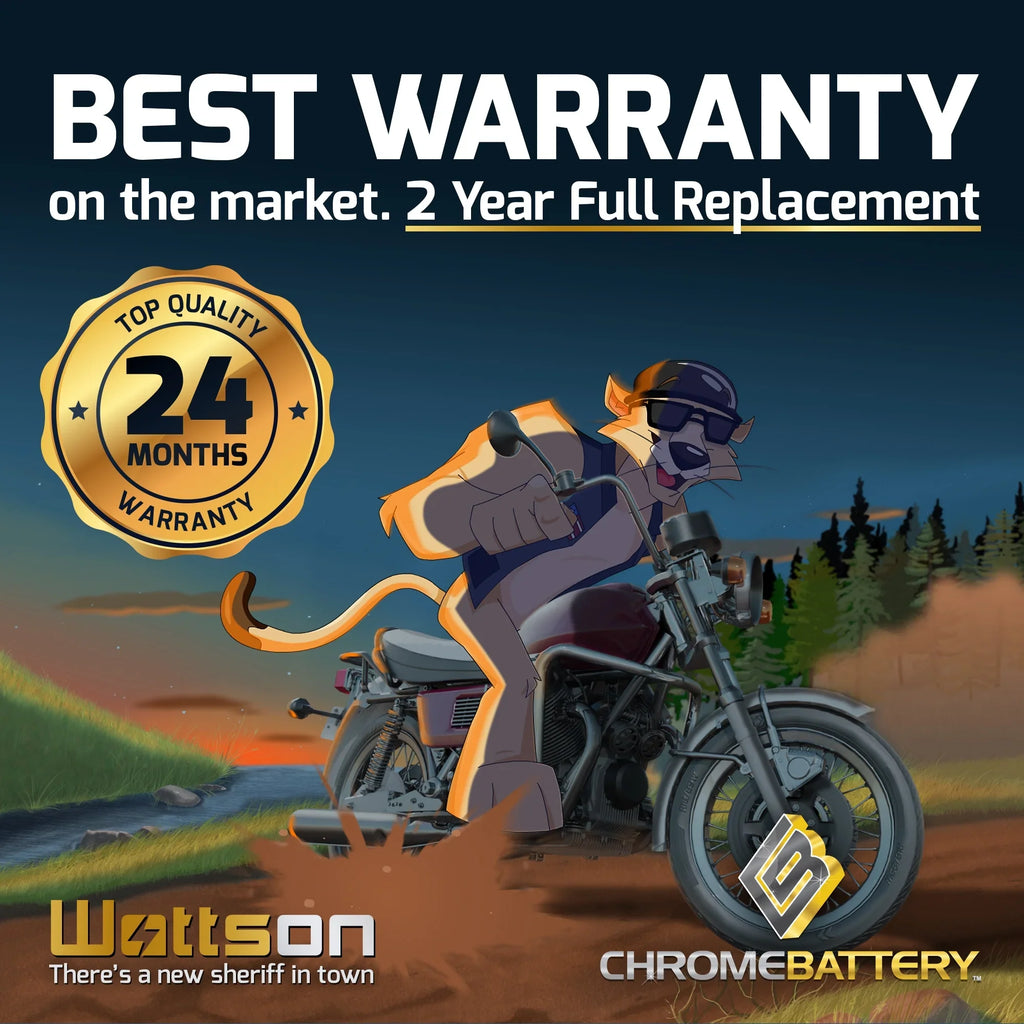 Chrome Battery YTX14AHL-BS (14AHL-BS 12 Volt,12 Ah, 210 CCA) Motorcycle Battery for Suzuki 750cc Gsx-r750 1988