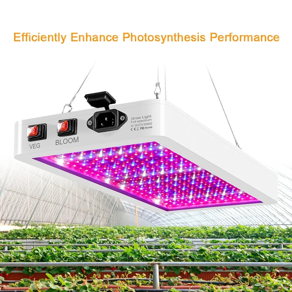 Aibecy Dual Switch LED Grow Light 2000W for Indoor Plants Full Spectrum IP65 Waterproof Perfect for Seedlings Flowers Greenhouse