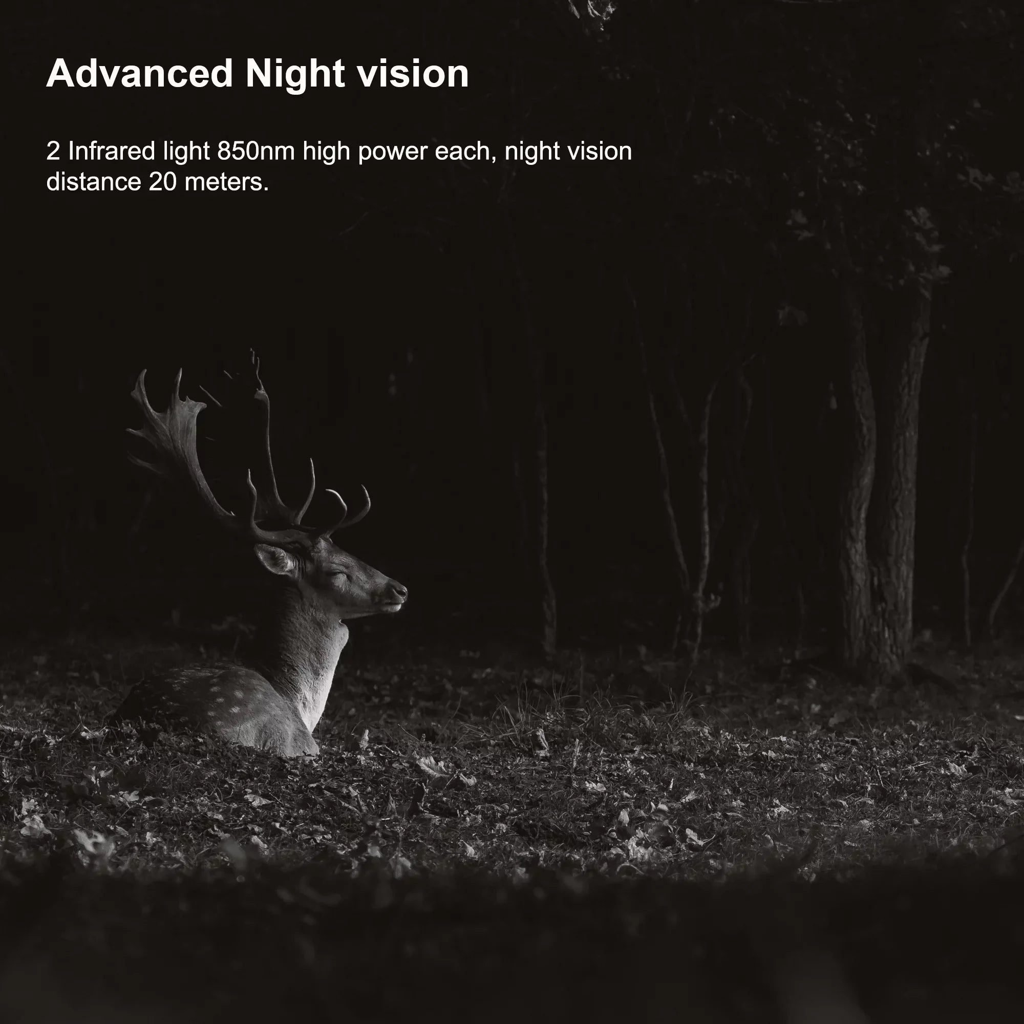 Rexing H2 20MP 4K Wi-Fi Trail Surveillance Camera for Outdoor, Hunting Cam W/ CMOS Motion Sensor