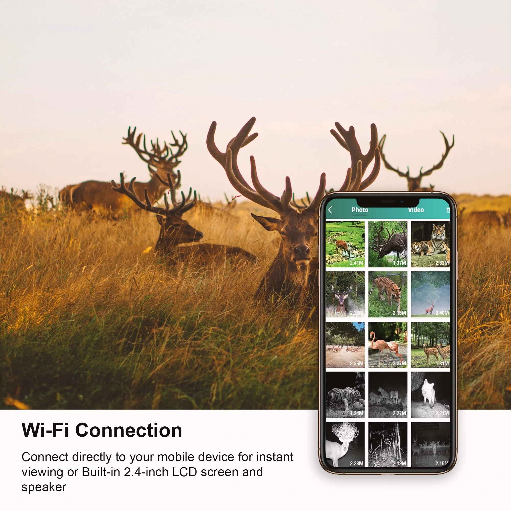 Rexing H2 20MP 4K Wi-Fi Trail Surveillance Camera for Outdoor, Hunting Cam W/ CMOS Motion Sensor
