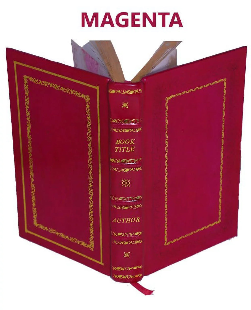 a Magna Grecia e delle tre Calabrie ricerche etnografiche, etimologiche, topografiche, politiche, morali, biografiche, letterarie, gnomologiche, numisma [Premium Leather Bound]