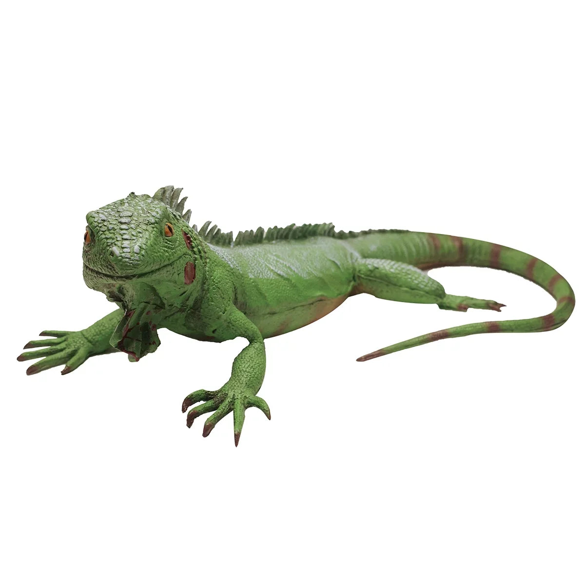 Life Size Green Iguana Reptile XL Foam Filled Rubber Lizard Large Bearded Dragon Giant Movie Prop