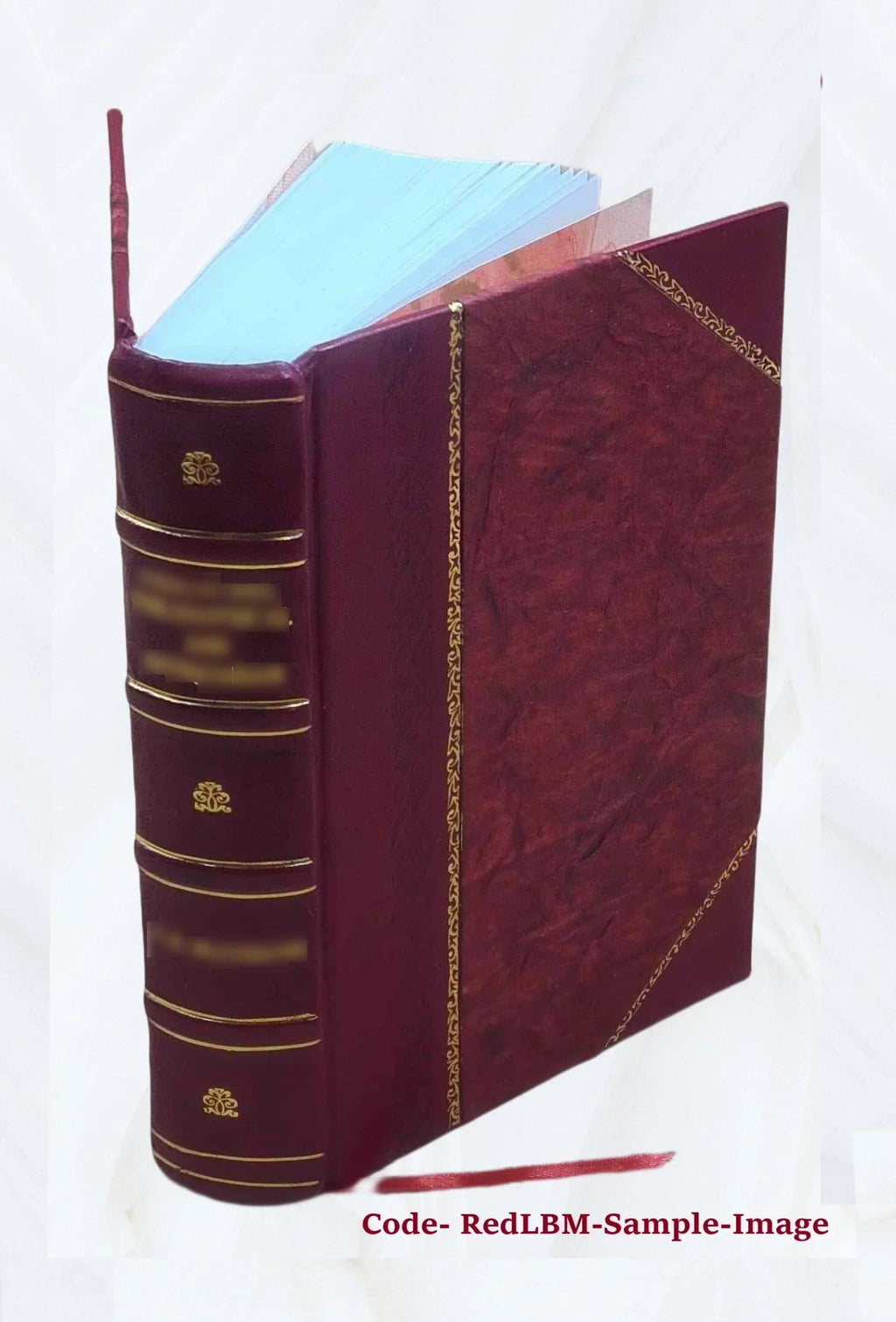 The Covenanters, a history of the church in Scotland from the Reformation to the Revolution, by James King Hewison. Volume 2 1908 [Leather Bound]