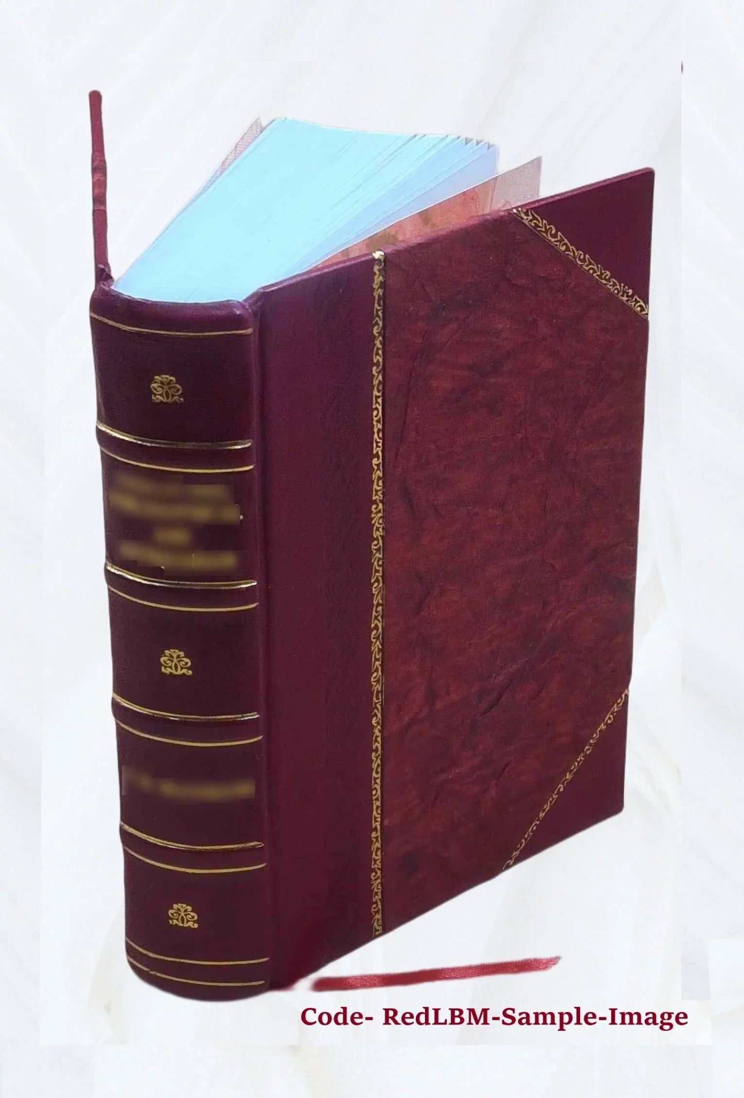 The Covenanters, a history of the church in Scotland from the Reformation to the Revolution, by James King Hewison. Volume 2 1908 [Leather Bound]
