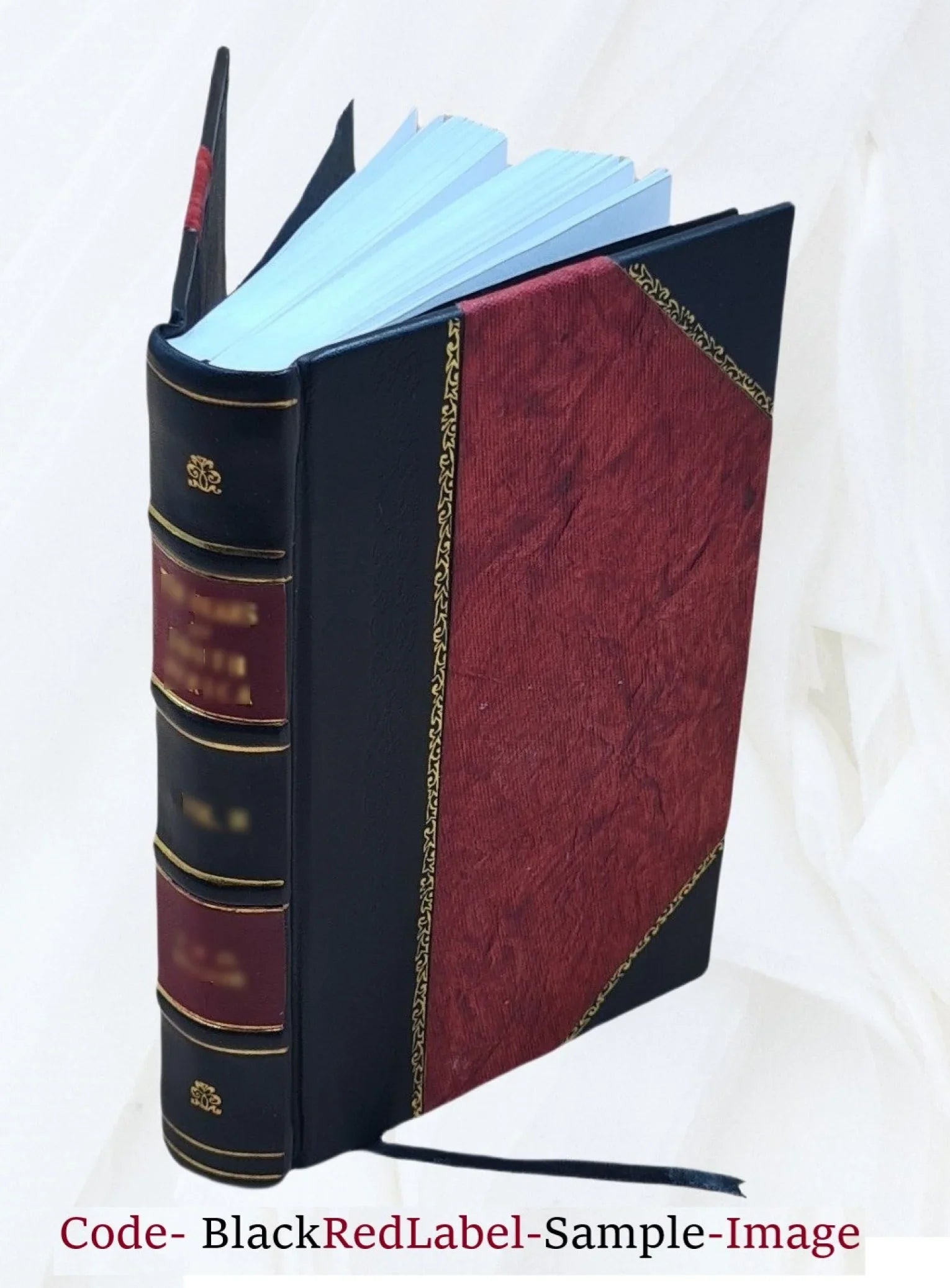 La cavalerice françois / composé par Salomon De La Brove... 1610 [Leather Bound]