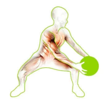 PBLX 60030 Medicine Balls - 8 lbs
