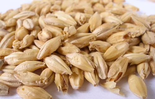 10 lb Pale Ale Malt