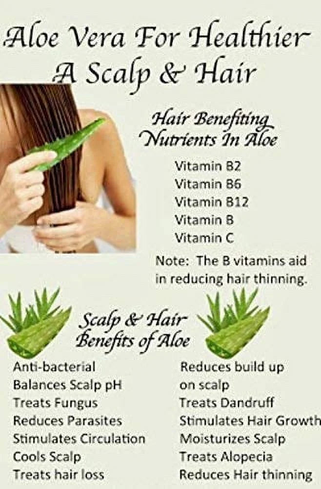 Lais Ayurveda Natural Aloe Vera Hair Care & Skin Care Gel,190 Grams