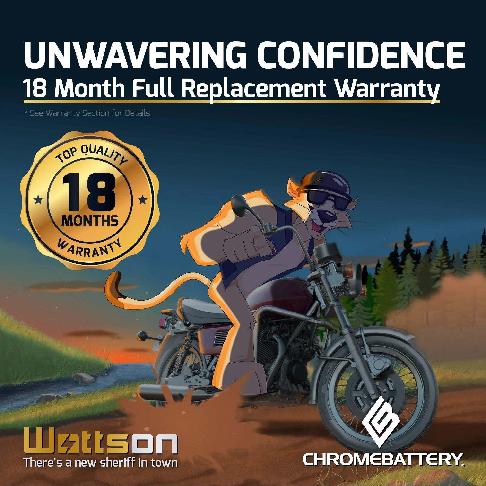 Chrome Battery YTZ7S-BS (YTZ7S 12 Volt,6 Ah, 90 CCA) Motorcycle Battery for Gas Gas Fsr450 450cc Year (all Years Until 08)